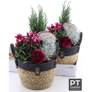 ARR TUINPLANTEN