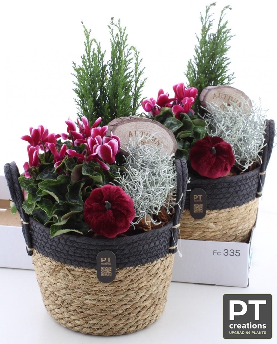 <h4>ARR TUINPLANTEN</h4>