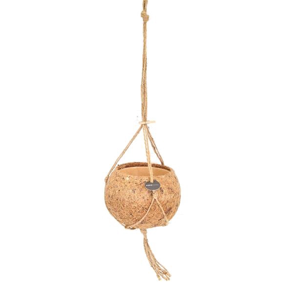 <h4>Kokodama Pot Hang</h4>