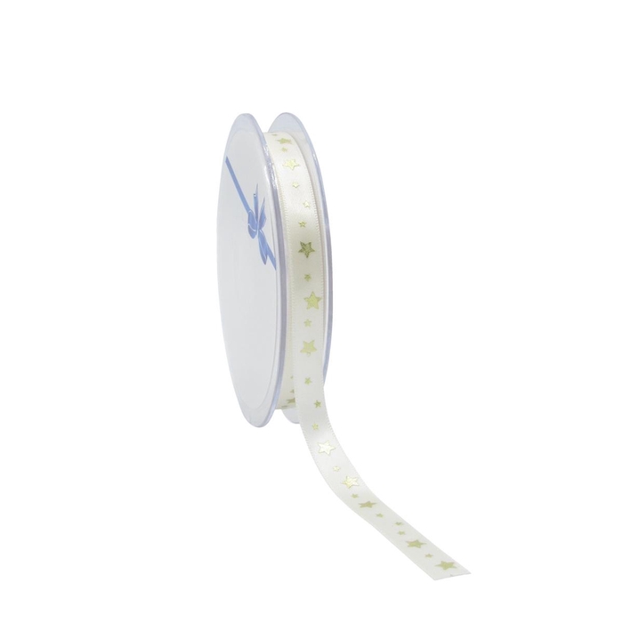 <h4>Lint ster 10mm 25m</h4>