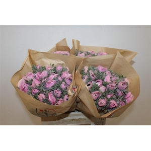 Anem Marianne Powder Pink