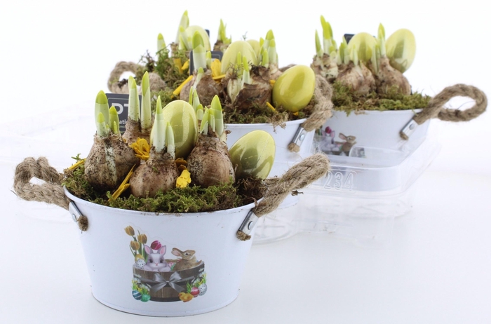 <h4>ARR N TETE A TETE</h4>