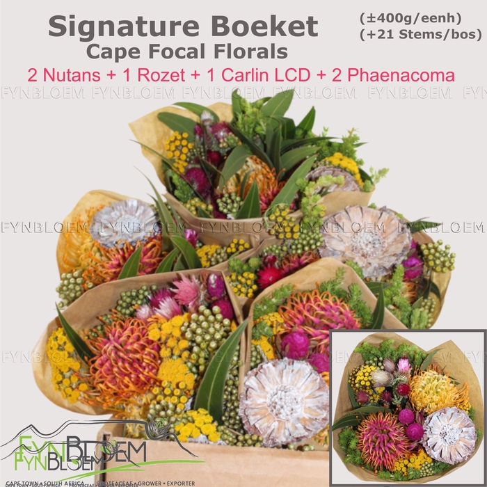 <h4>PROTEA PER BOS</h4>