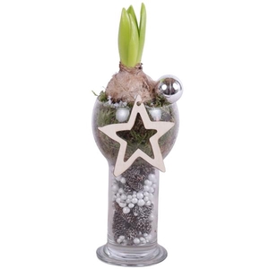 Christmas Arr. Hyacint Glass Sphere Cylinder Vase Ø09cm 1PP