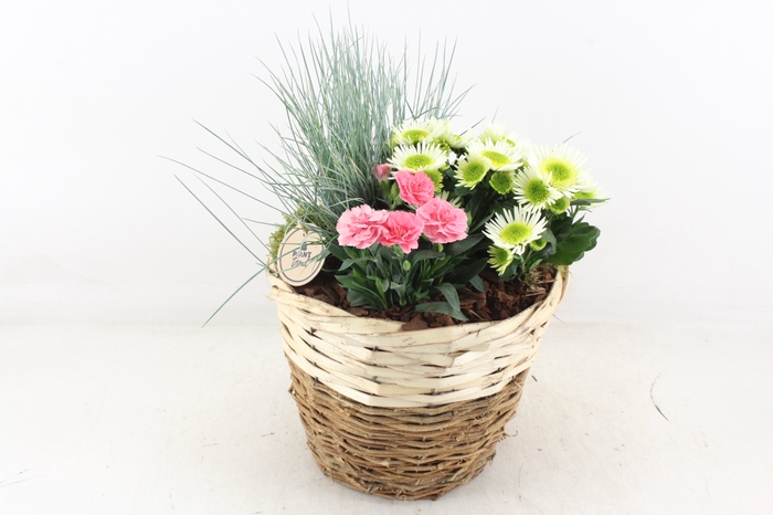 <h4>arr4 Outdoor PL - Naturel duo mand x2</h4>