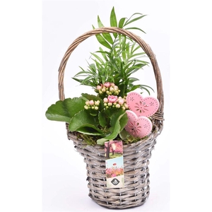 Wilg hengselmand gy 17cm