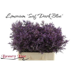 LIM SAF DARK BLUE