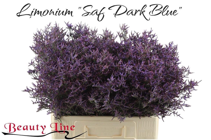 <h4>LIM SAF DARK BLUE</h4>