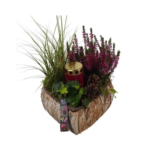 <h4>PTAH8676 Arrangement Allerheiligen in houten hart</h4>
