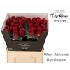 R GR WAX BORDEAUX (ATHENA) x40 (60cm)