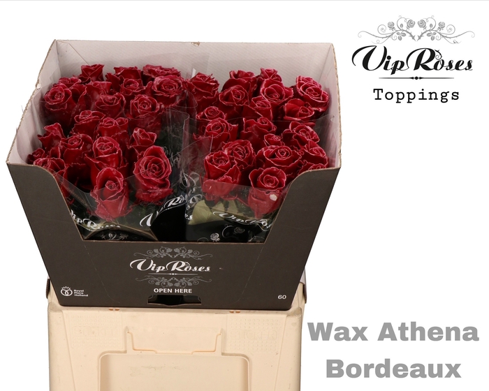 R GR WAX BORDEAUX (ATHENA) x40 (60cm)