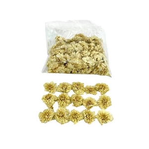 Flower Dahlia 50 Pcs