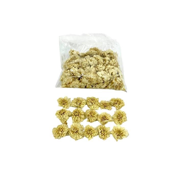 <h4>Flower Dahlia 50 Pcs</h4>
