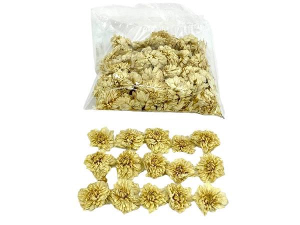 Flower Dahlia 50 Pcs