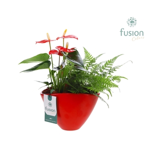 Pot keramiek ovaal Medium met Arrangement