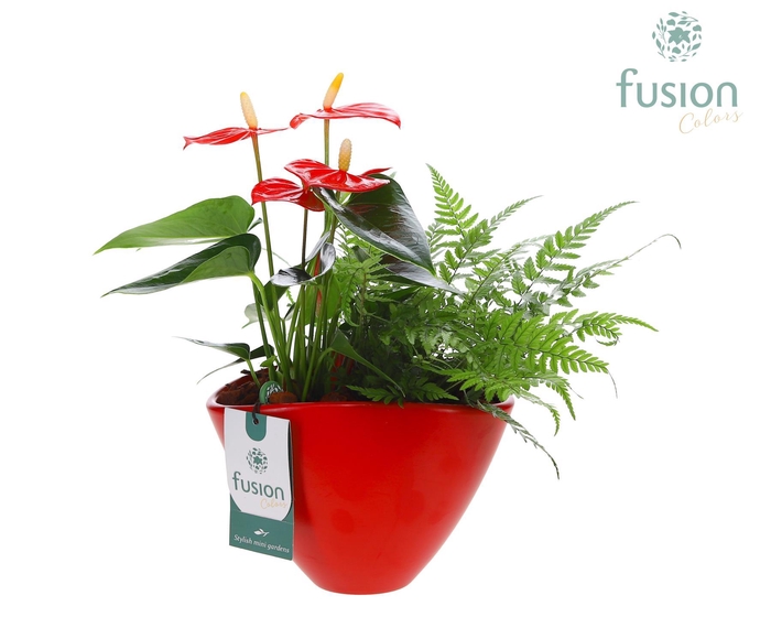 <h4>Pot keramiek ovaal Medium met Arrangement</h4>
