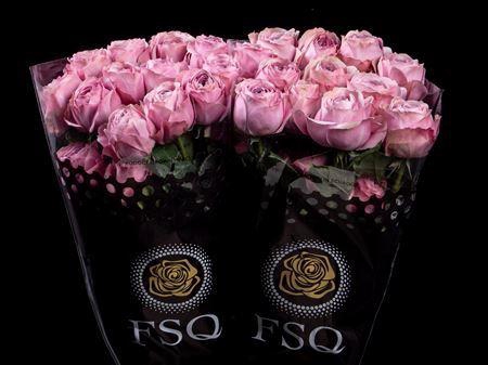 <h4>R Gr Gar Peonikiss</h4>