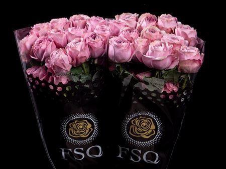 <h4>R Gr Gar Peonikiss</h4>