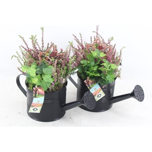 arr4 Outdoor JS - Zink gieter black x6