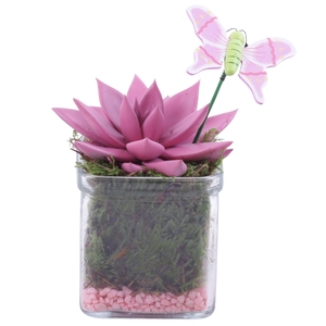 Womensday Arr. Succulent Glass Accuglas Square Ø08cm 1PP