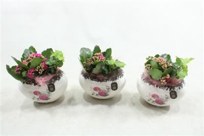 <h4>5204 Ker Wit Ovaal</h4>