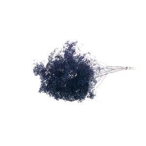 Broom Bloom Bunch Dark Blue