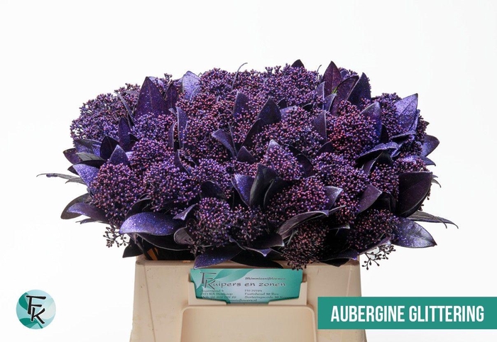 <h4>SKIM OV BS KLB H%</h4>