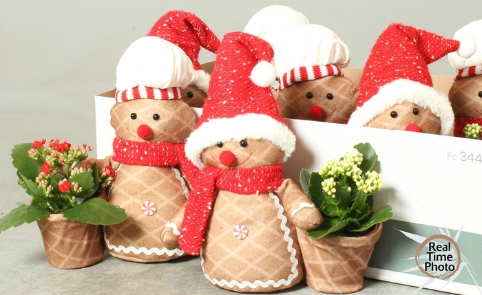 <h4>ARR KAMERPL</h4>