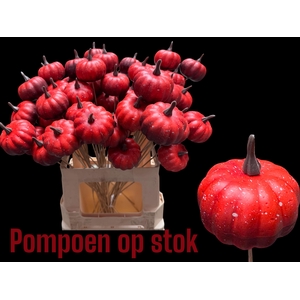 HUIS EN TUINDECO H%