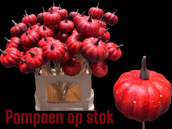 <h4>HUIS EN TUINDECO H%</h4>