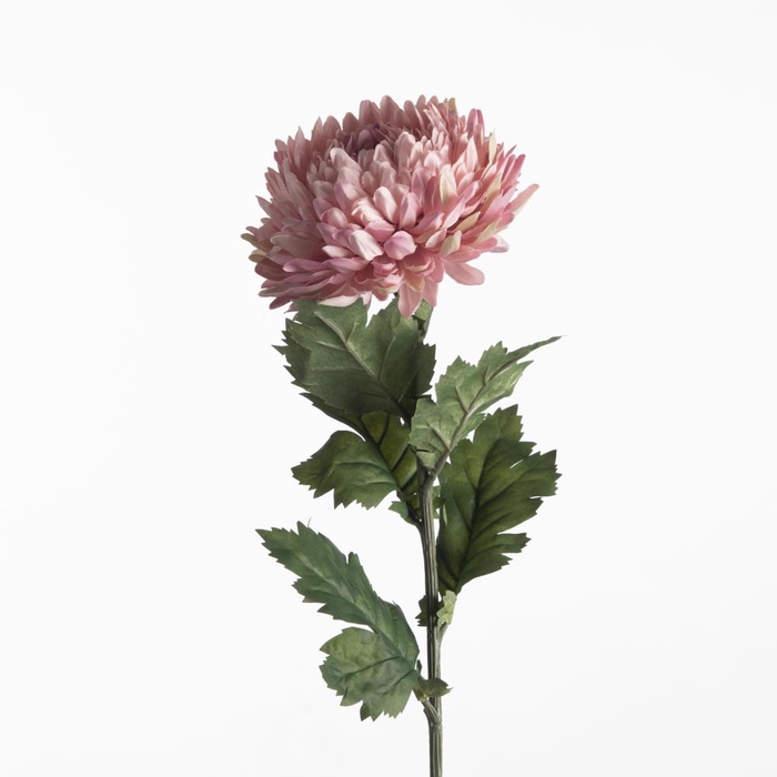 <h4>AF Chrysanthemum L75cm Pink</h4>