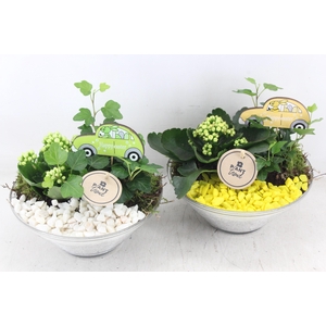 arr2 PL - Glas ribbel schaal x3 - geel/wit