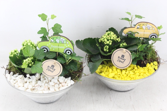 <h4>arr2 PL - Glas ribbel schaal x3 - geel/wit</h4>