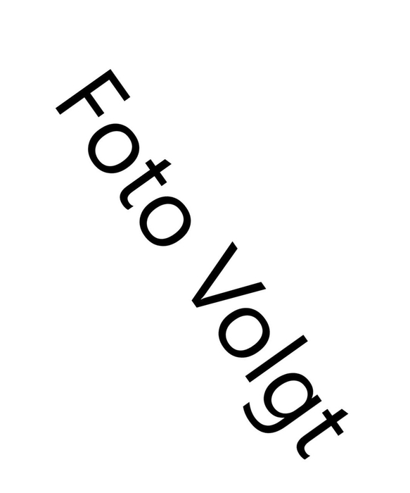 <h4>ARR TUINPLANTEN</h4>