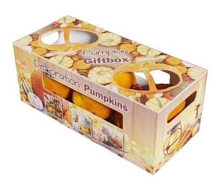 <h4>CUCURBITA PEPO</h4>