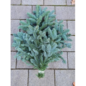 ABIES NOB BLAU BUND