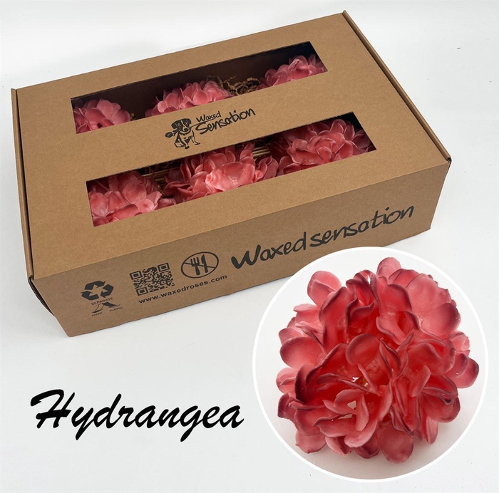 <h4>Zijde Hydr Wx Two Tone Pink</h4>