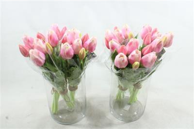 <h4>3101 L. ROZE KUNSTTULP</h4>