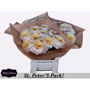 R GR ST PETERS PARK!