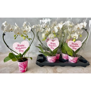 hart 9cm wit valentijn