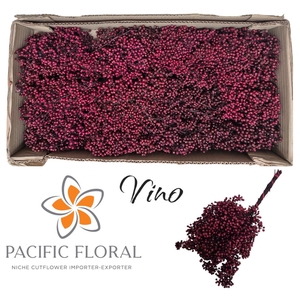 SCHINUS M DEC BES BS