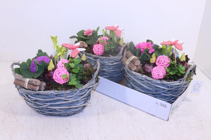 <h4>ARR TUINPLANTEN</h4>