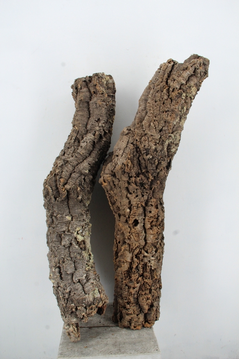 <h4>Cork Tube 100-120cm</h4>