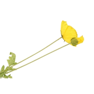 Silk Poppy Leaf Yellow 96cm Nm