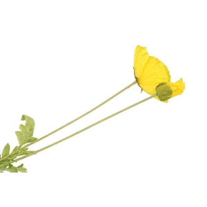 Silk Poppy Leaf Yellow 96cm Nm