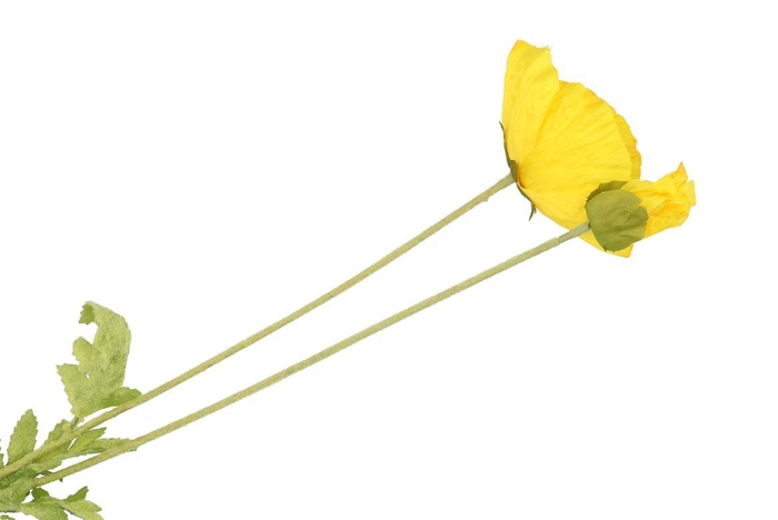 <h4>Silk Poppy Leaf Yellow 96cm Nm</h4>