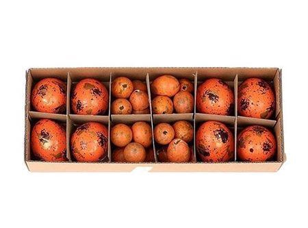 <h4>Deco Egg Combi 8 Chicken 24 Quail Orange</h4>