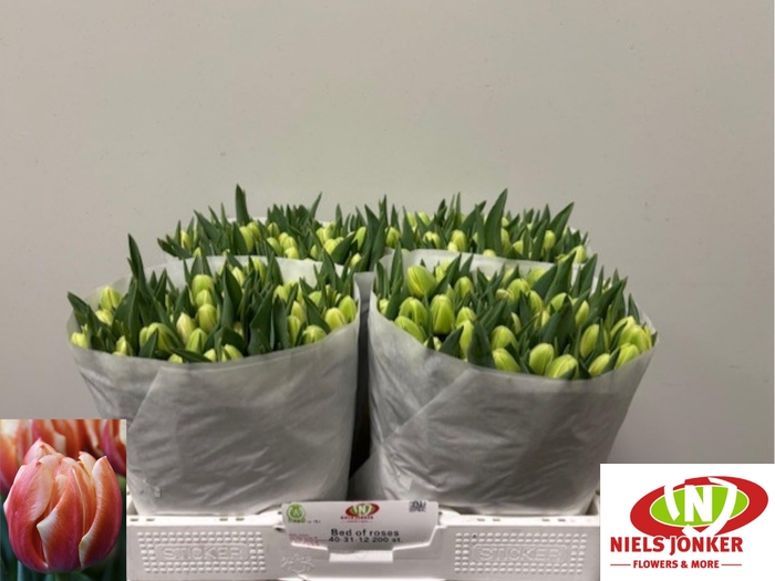 <h4>TU DU BED OF ROSES</h4>