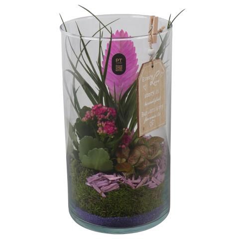 <h4>PTIG2721 Arrangement Indoor in glazen vaas</h4>