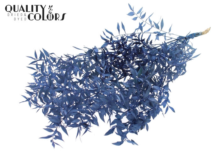<h4>Ruscus 70cm 5 pc/bunch Blue (2x5 bunch/poly)</h4>